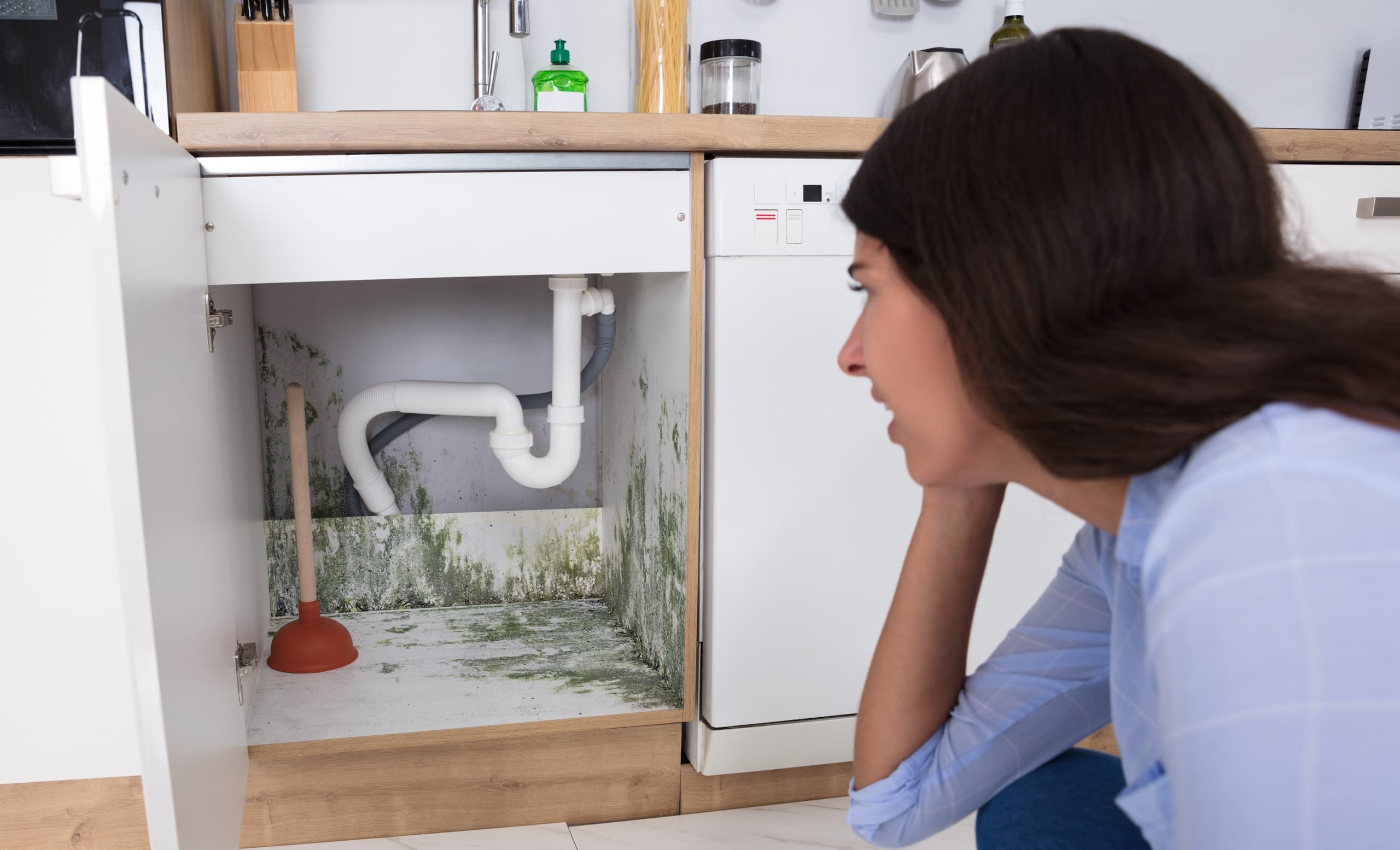 Homeowner discovers mold in house / mold on wall / woman finds mold