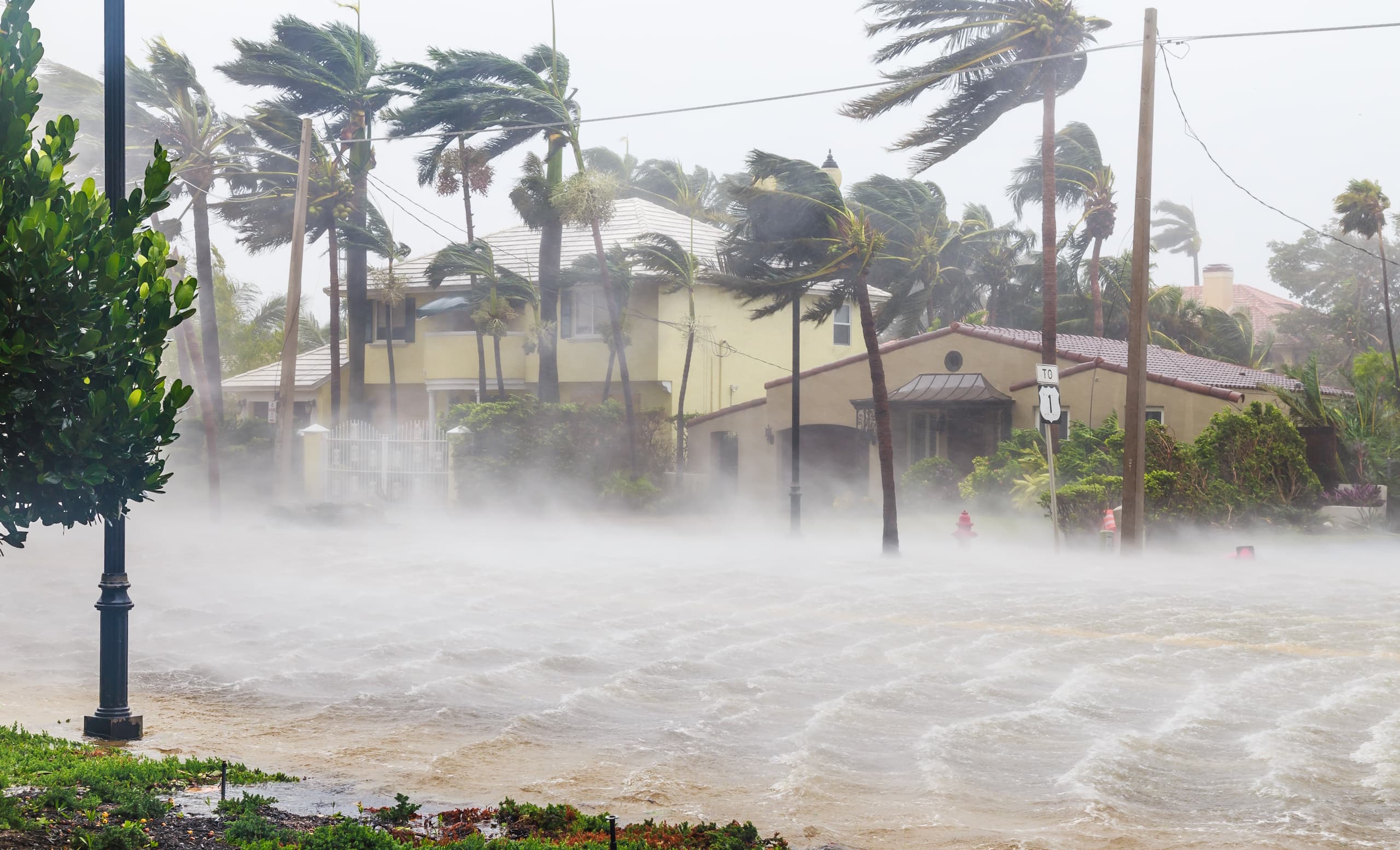 Hurricane, Hurricane Damage, Lightning, Storm, Storm Damage, Wind, Storm Surge, Flood, Flooding, Tornado, Property Damage