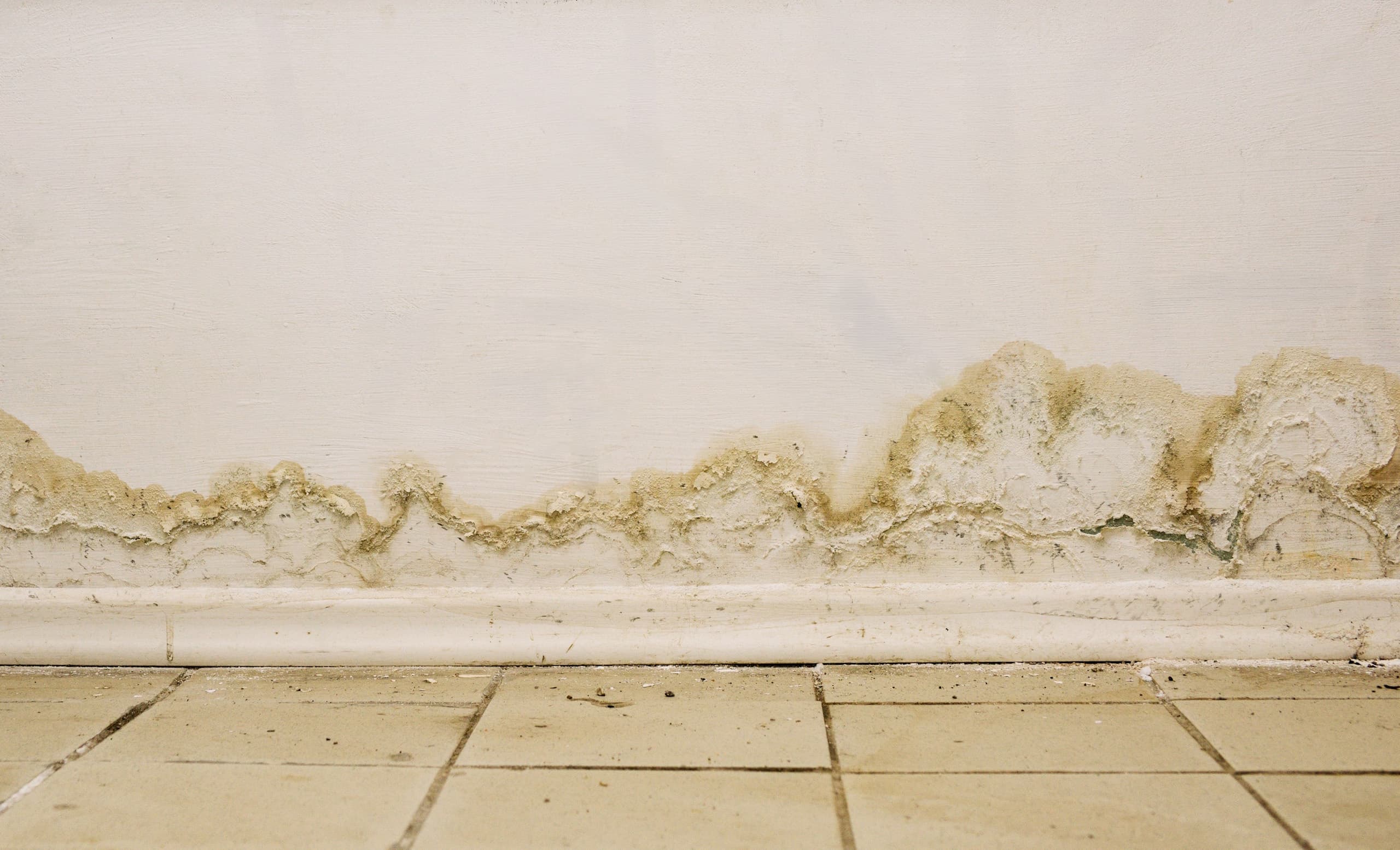 Wet Basement, Water Intrusion, Groundwater, Rain, Snow, Snow Melt, Snowmelt, home, house, basement, basement waterproofing, waterproofing